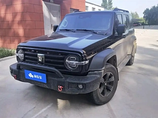 TANK 300  2025 YEAR 2.4T DIESEL EDITION 2025