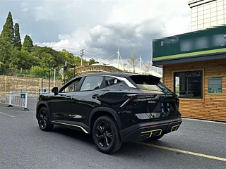 JETOUR BIG &#22307; 2025 YEAR 1.5T DCT EDITION 2025