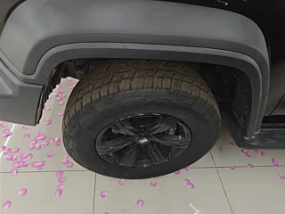 TANK 300  2024 YEAR 2.0T 2024