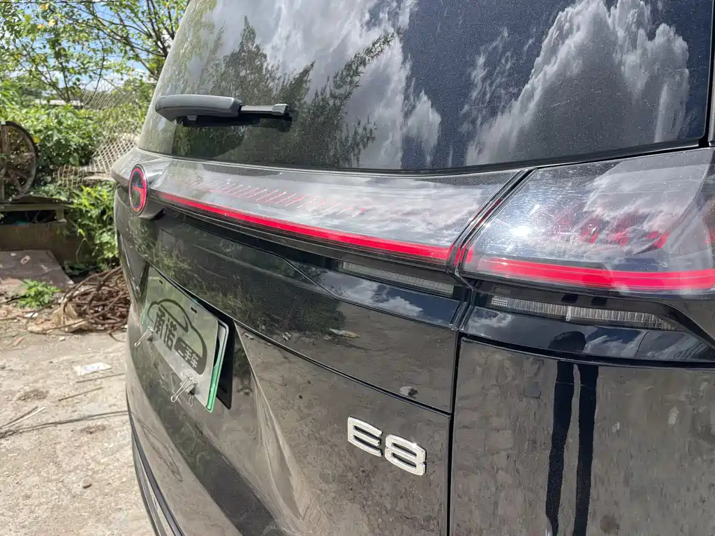 TRUMPCHI E8 NEW ENERGY 2024