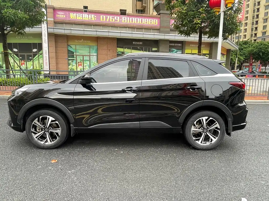 SOL QX 2021