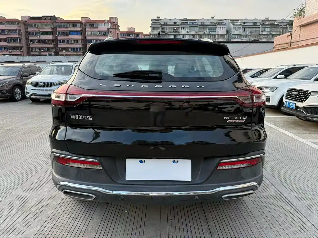 LEOPAARD MATTU 2018