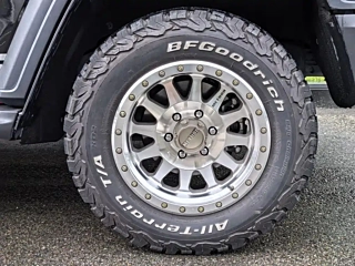 TANK 300 2021 YEAR EDITION 2.0T 2021