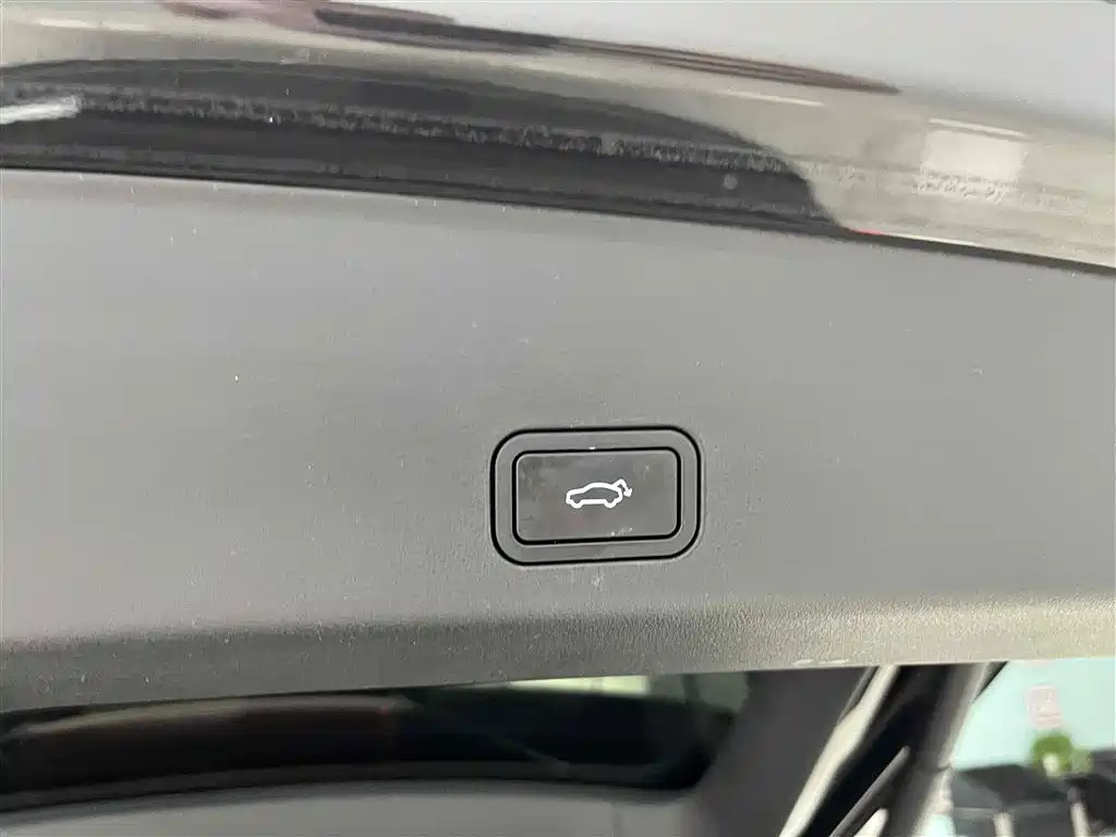 GEELY AUTO MONJARO 2021
