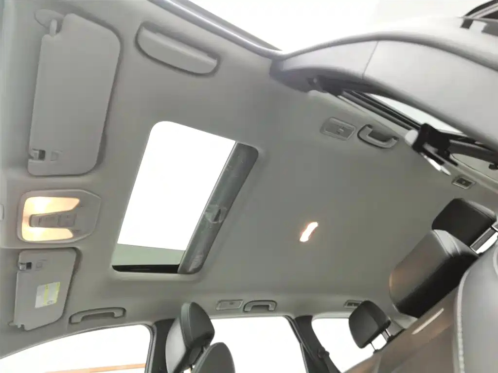 MAXUS OTHER 2020
