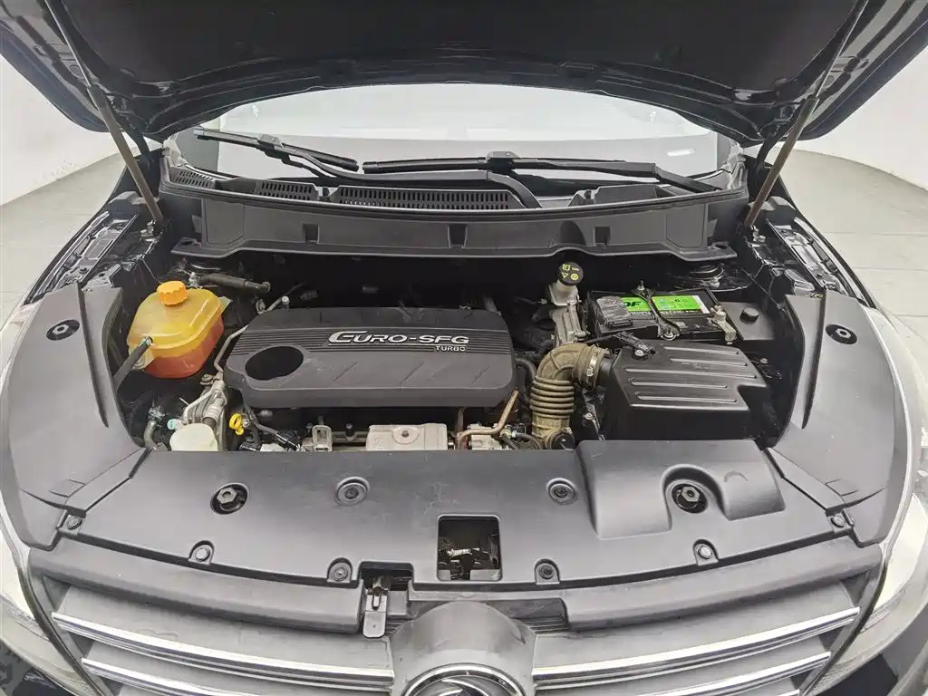 DONGFENG SCENERY 580 2018