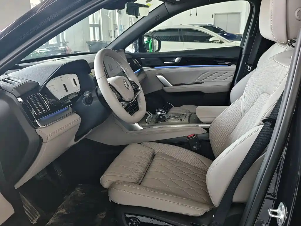 BYD TANG NEW ENERGY 2025