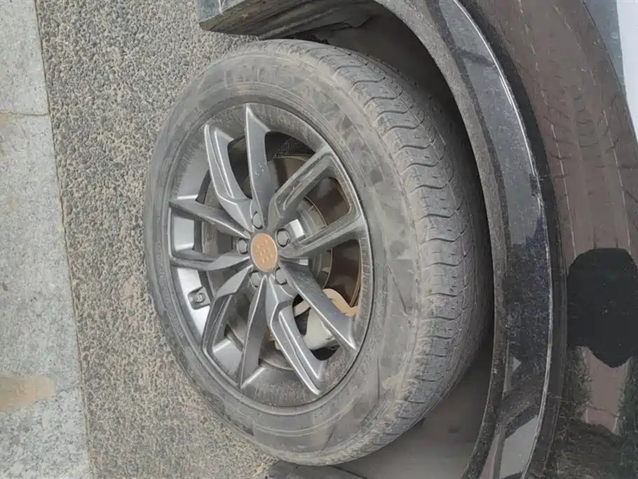 LANDIAN (DONG E5 2023