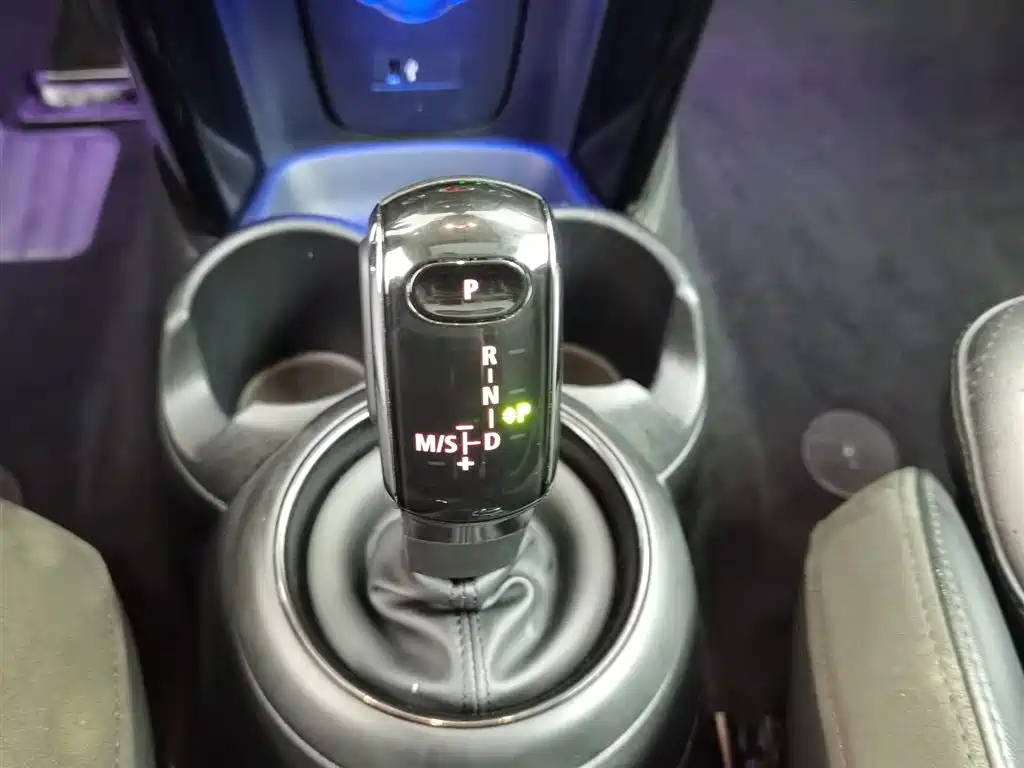 MINI OTHER 2021