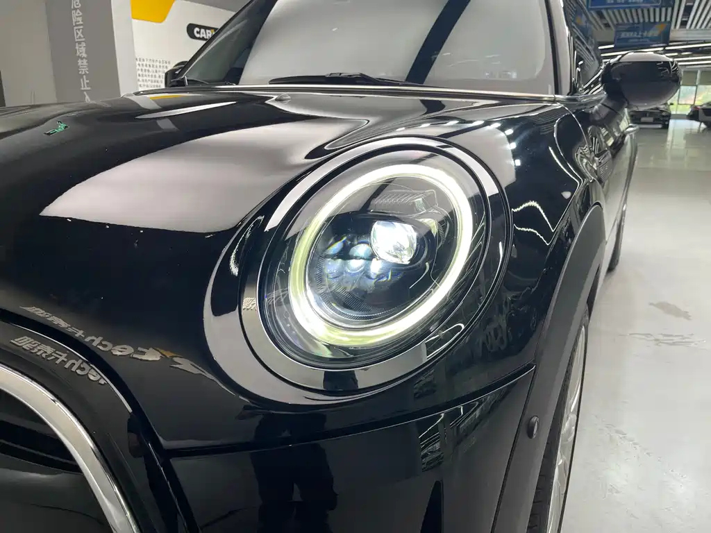 MINI OTHER 2021