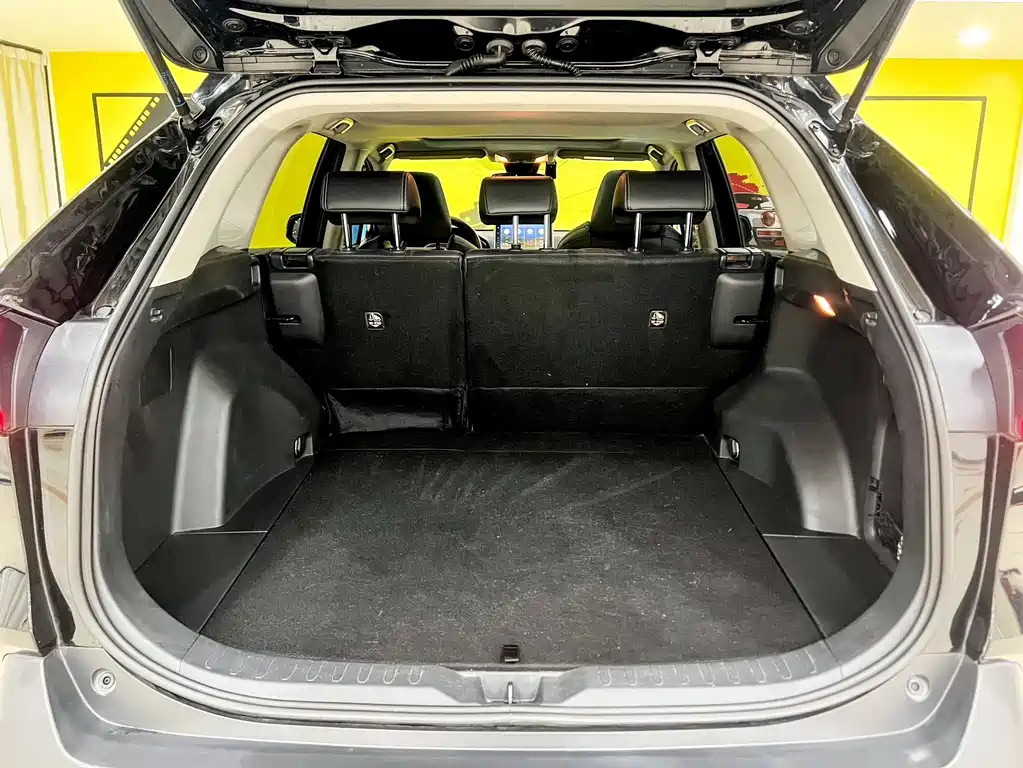 TOYOTA WILDLANDER 2022