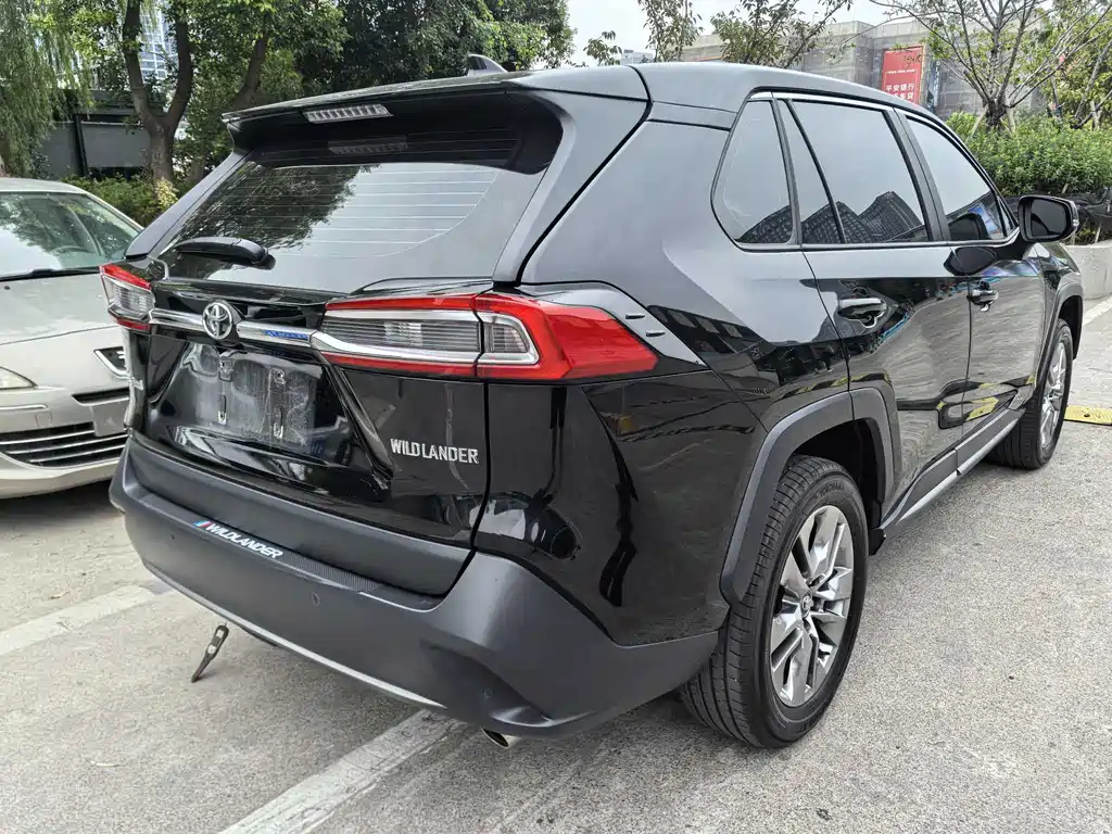 TOYOTA WILDLANDER 2024
