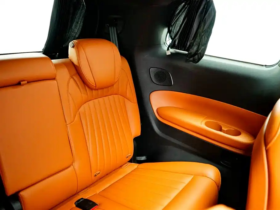 TRUMPCHI E9 2024