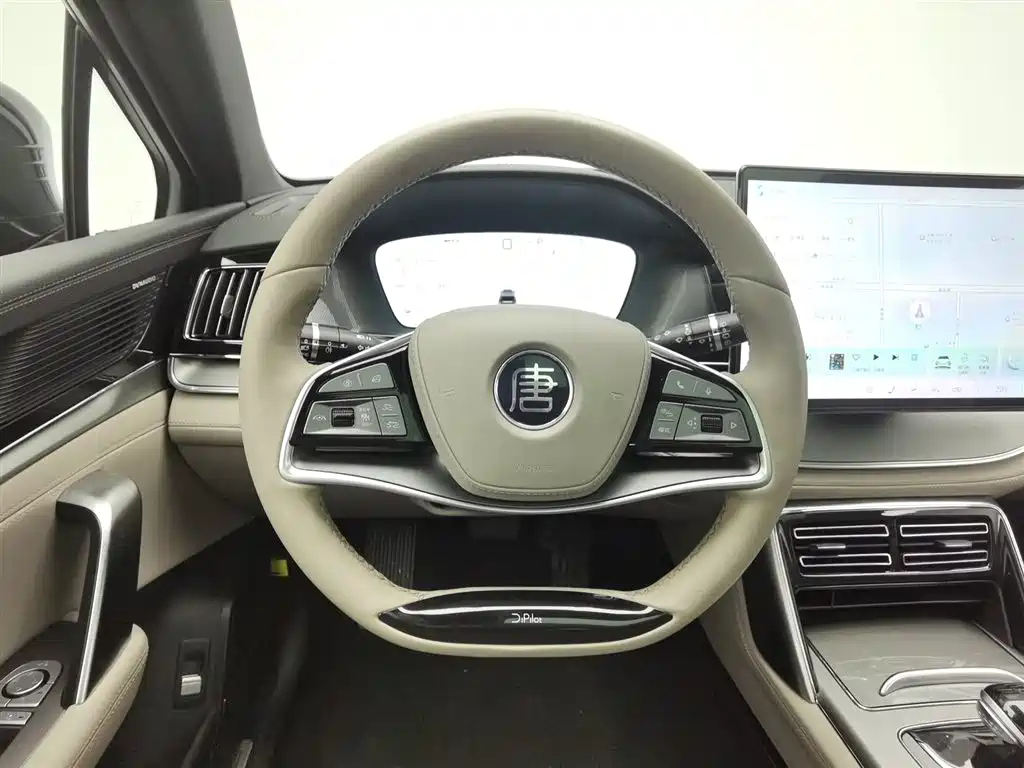 BYD TANG NEW ENERGY 2024