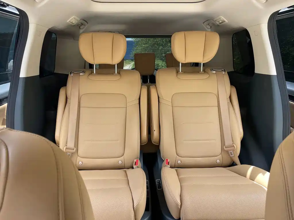 TRUMPCHI E8 NEW ENERGY 2024