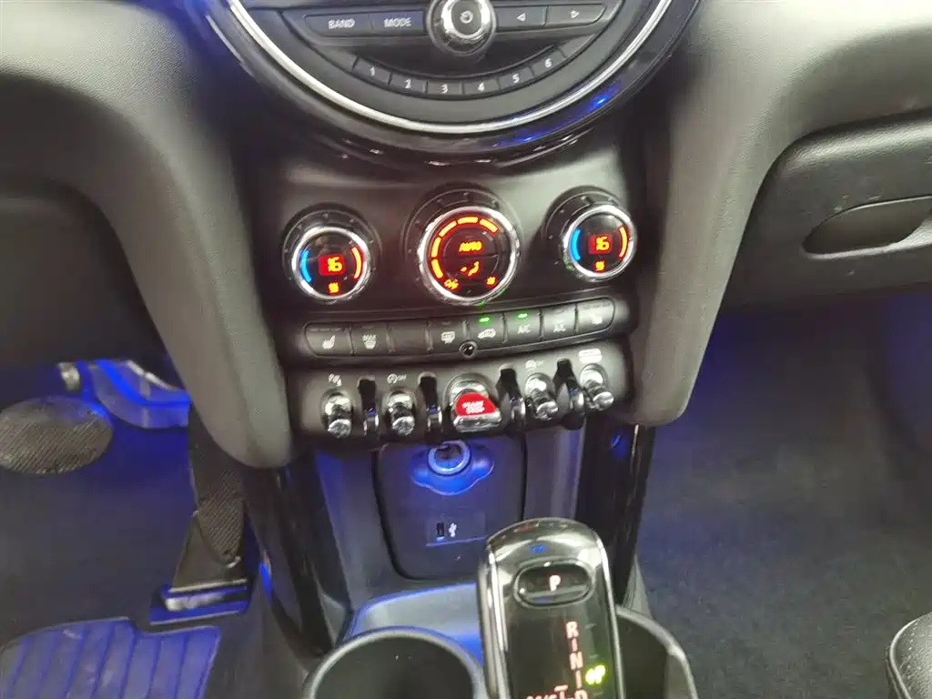 MINI OTHER 2021