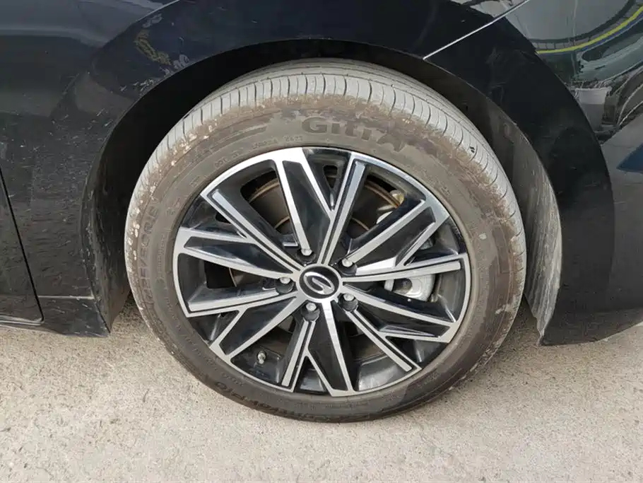 TRUMPCHI E8 NEW ENERGY 2024