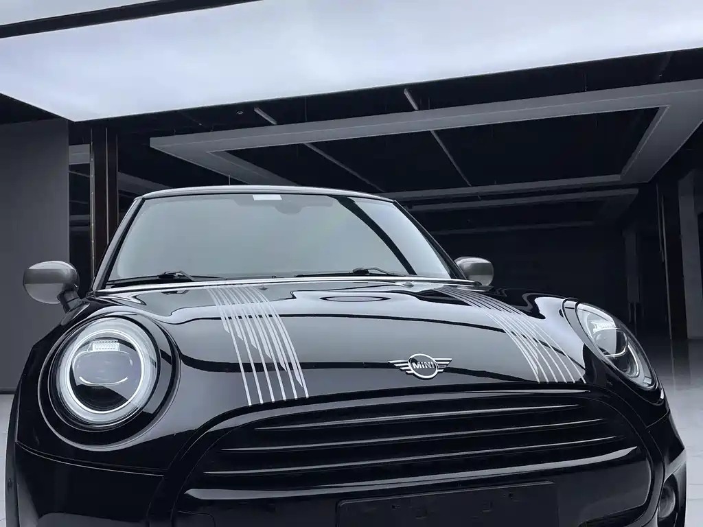 MINI OTHER 2021