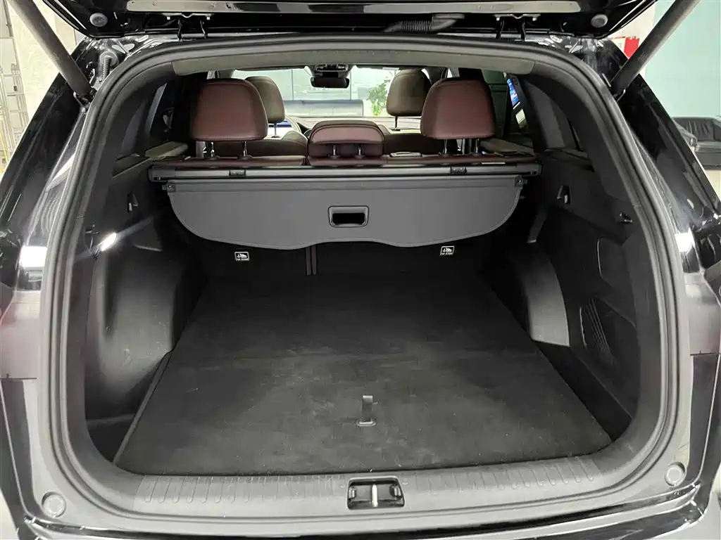 GEELY AUTO MONJARO 2021