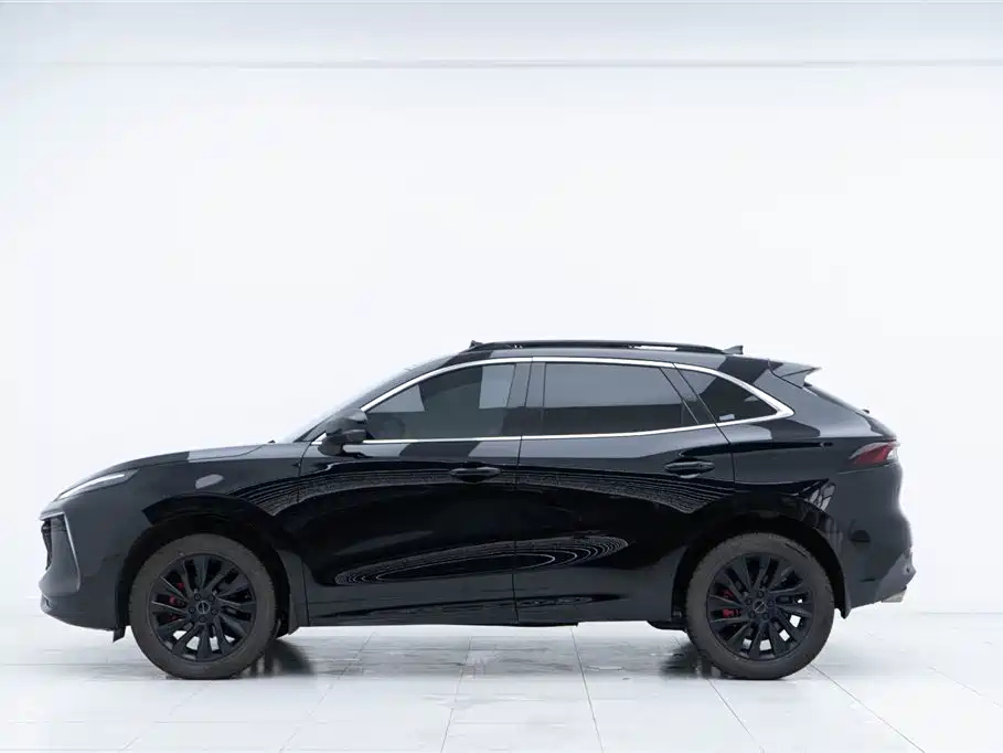 DONGFENG FORTHING T5 EVO 2021