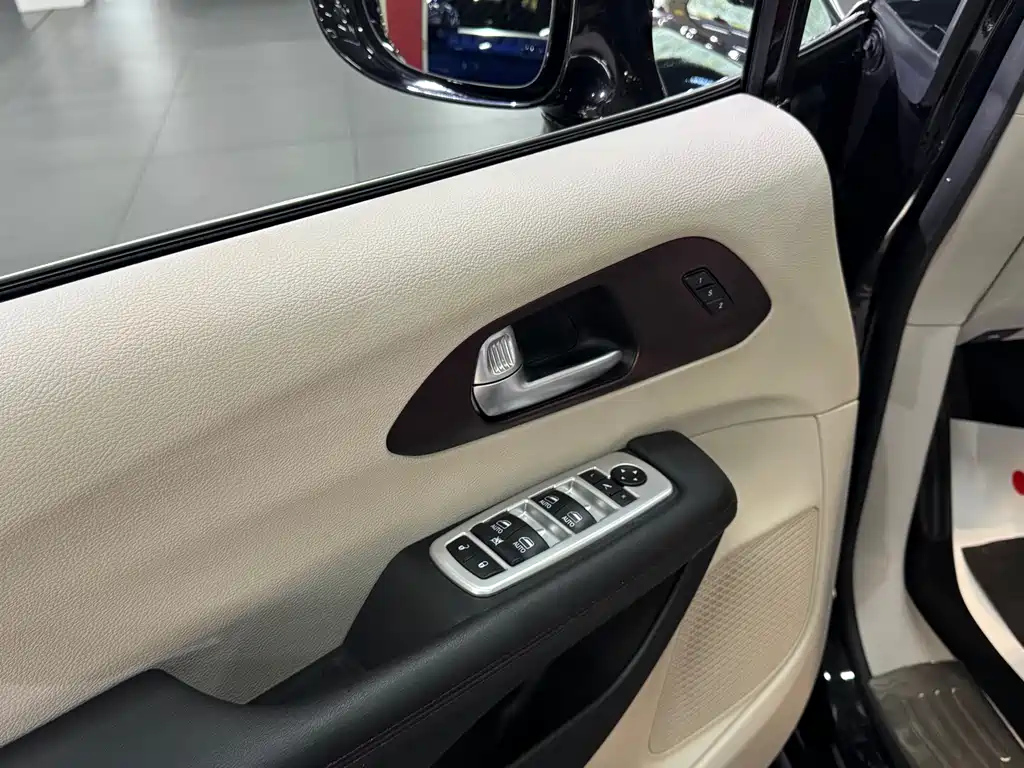 CHRYSLER BIG 捷龙 IMPORT 2019