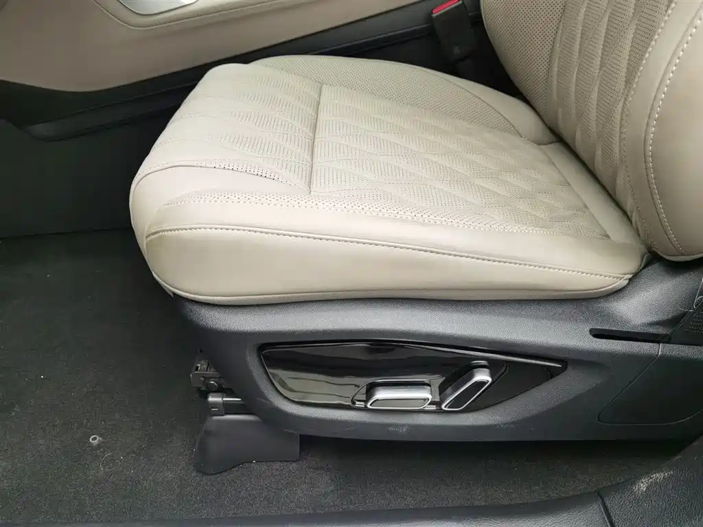 BYD TANG NEW ENERGY 2024