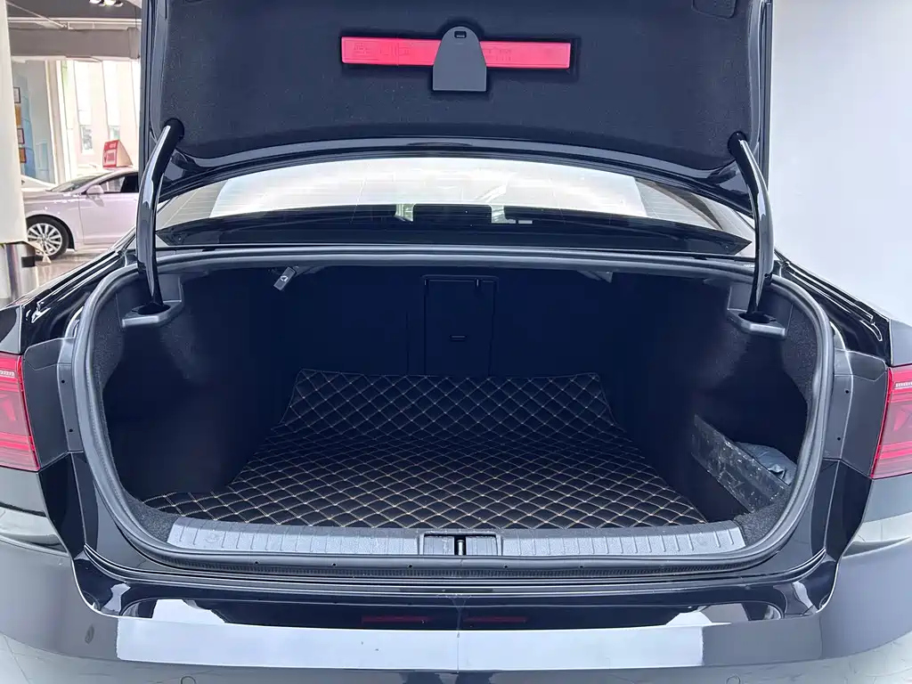 VOLKSWAGEN MAGOTAN 2020