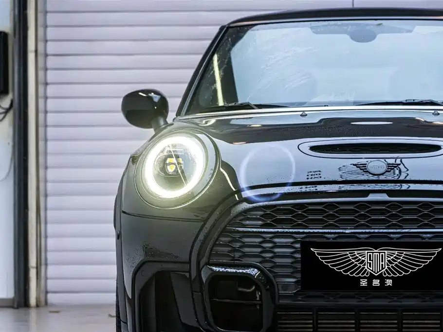 MINI OTHER 2021
