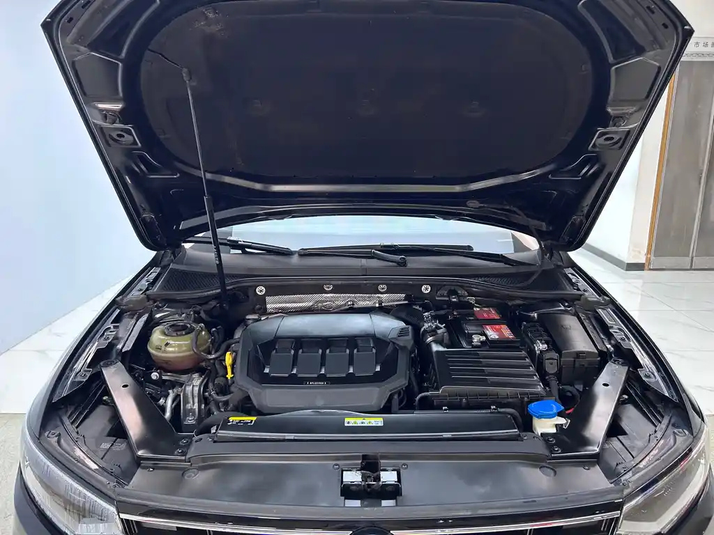 VOLKSWAGEN MAGOTAN 2020