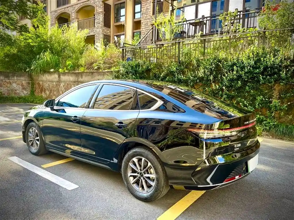 BYD DESTROYER 05 2024