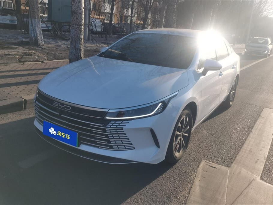 BYD DESTROYER 05 2024