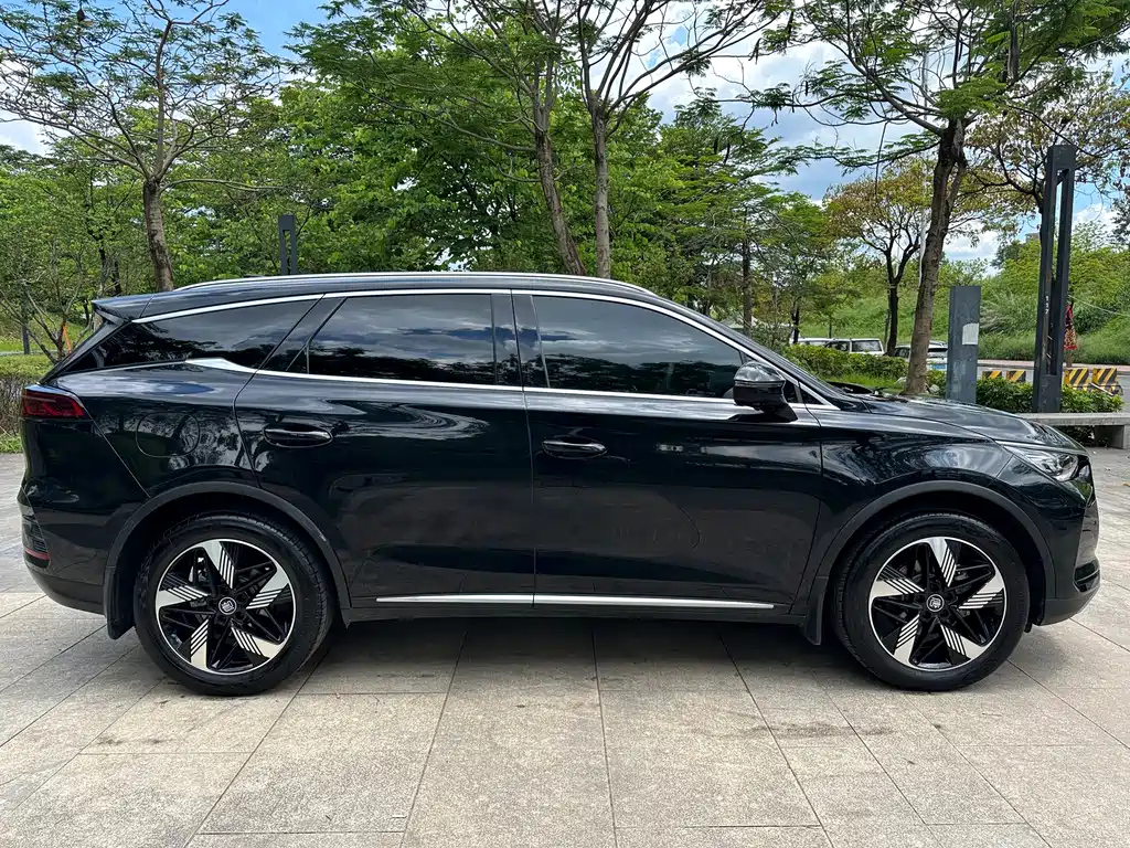 BYD TANG NEW ENERGY 2024