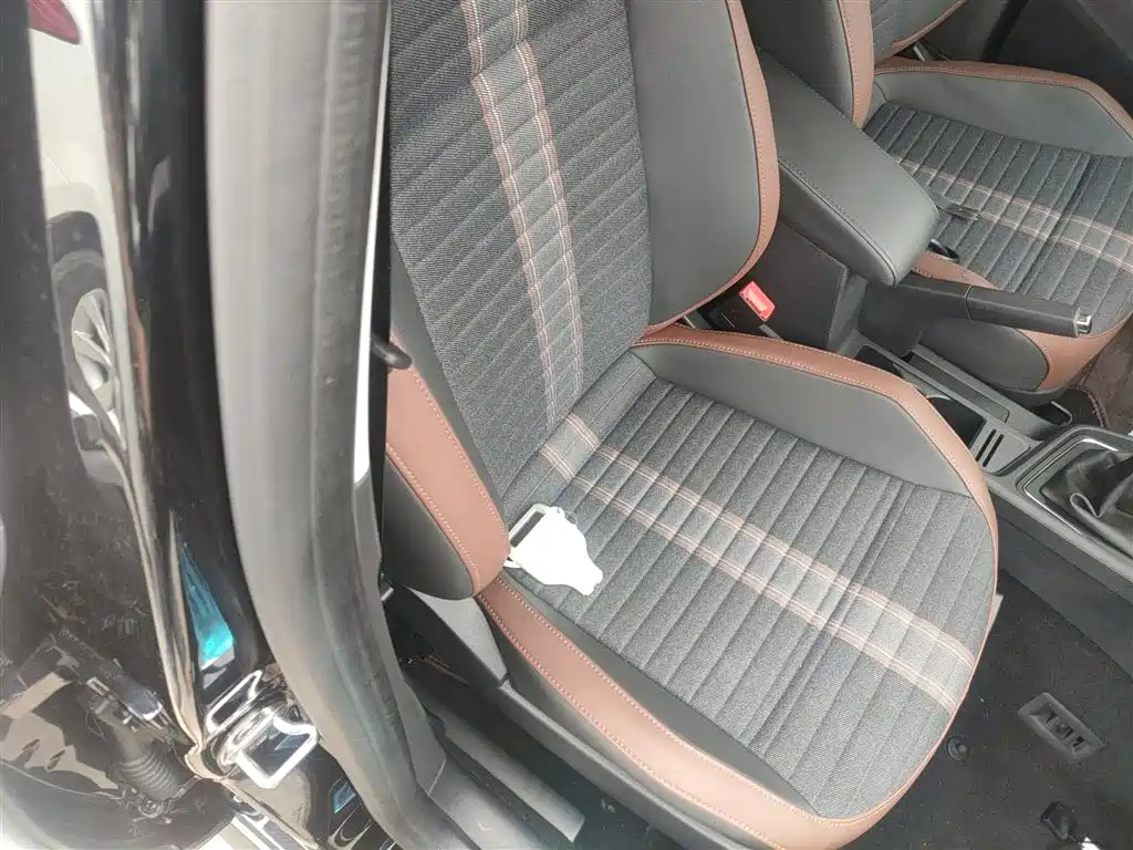 VOLKSWAGEN LAVIDA 2019