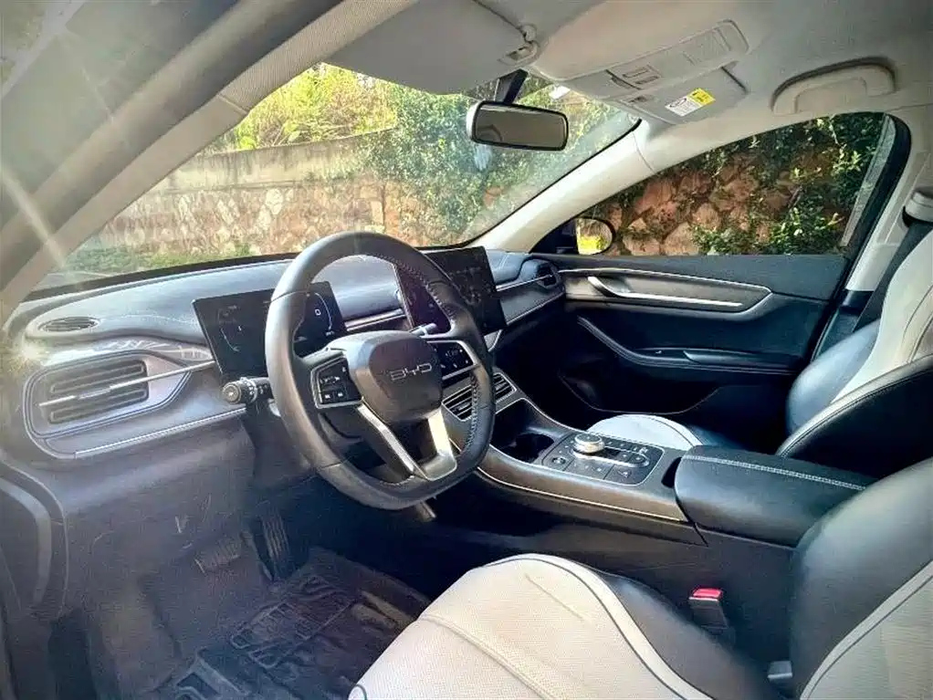 BYD DESTROYER 05 2024