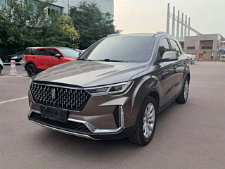 besturn t33