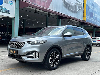 wey vv6