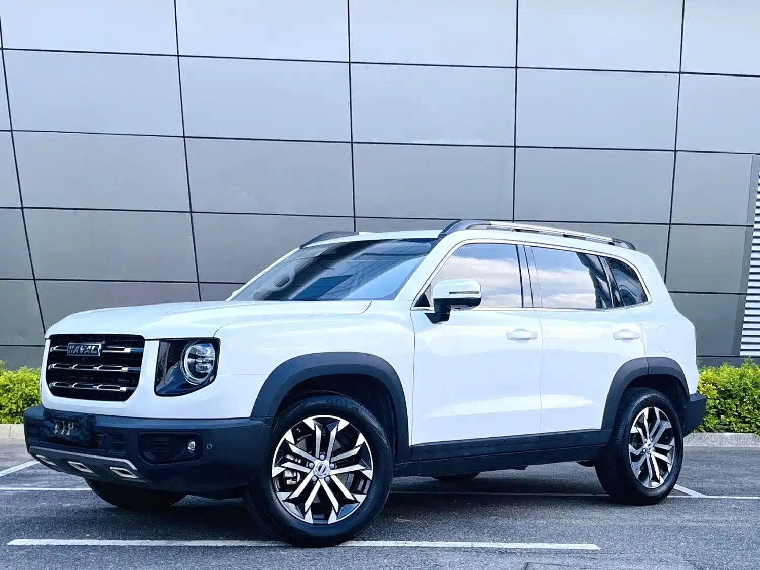 HAVAL DARGO