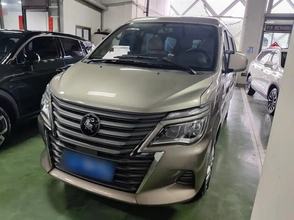 DONGFENG LINGZHI
