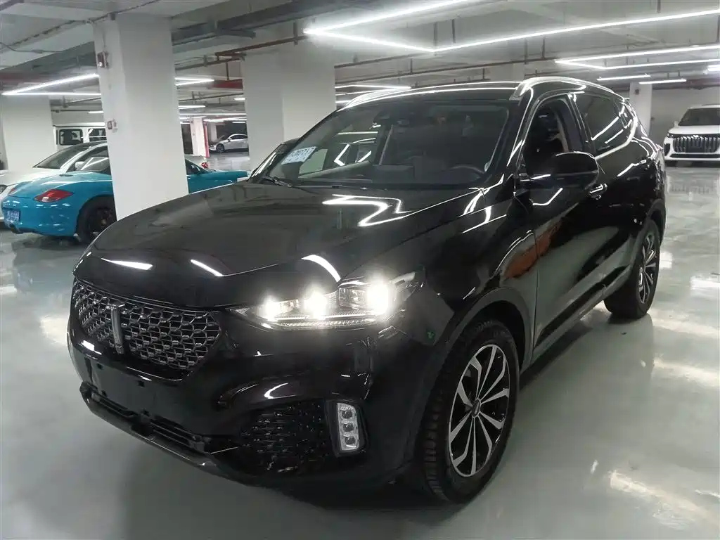 WEY VV6
