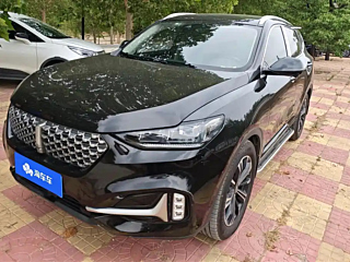 wey vv6