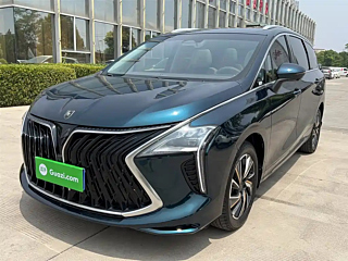 dongfeng other