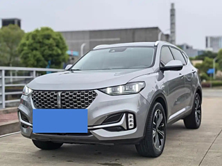 wey vv6