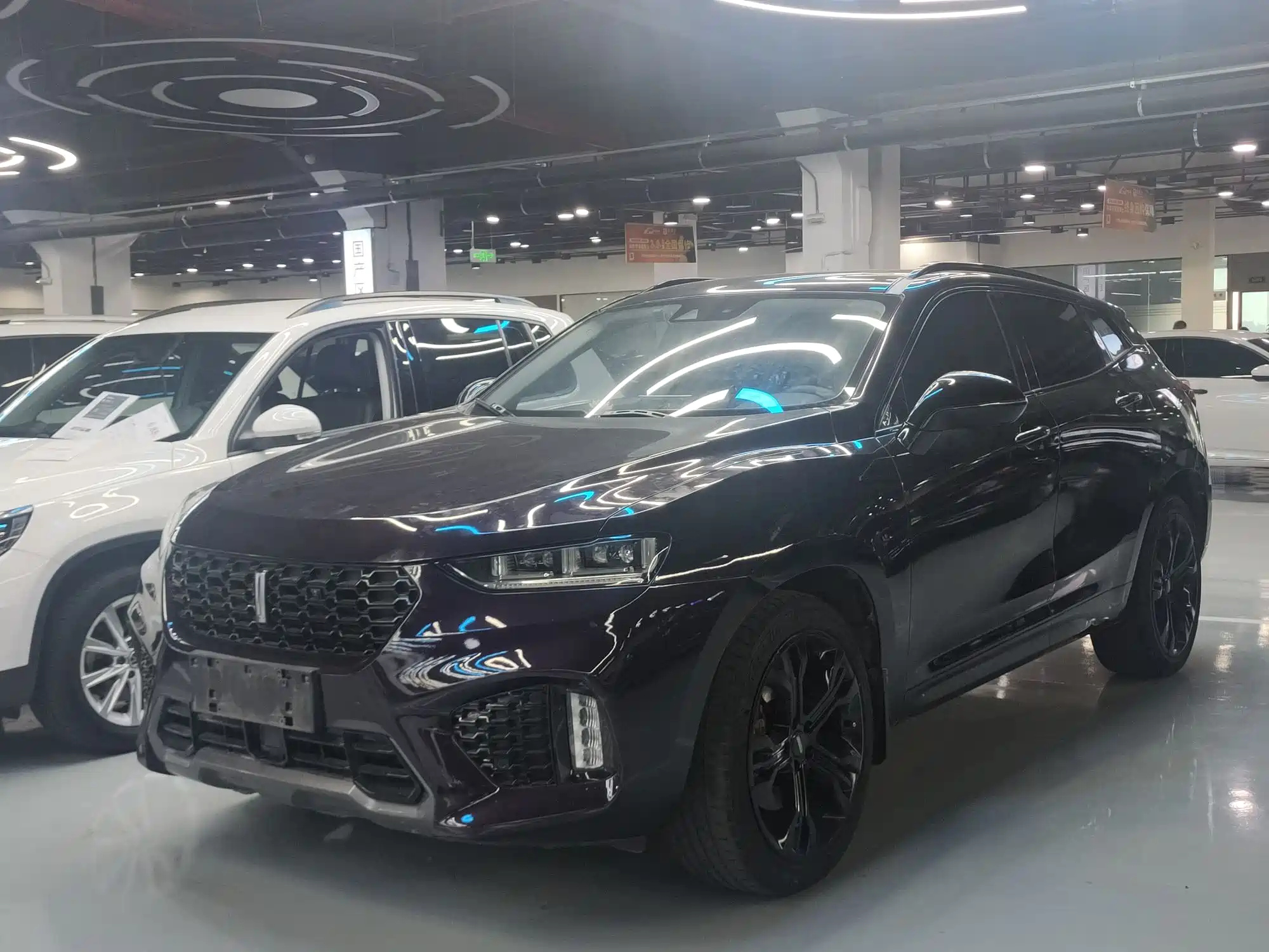 WEY VV7