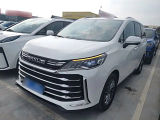 maxus other