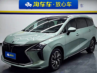 dongfeng other