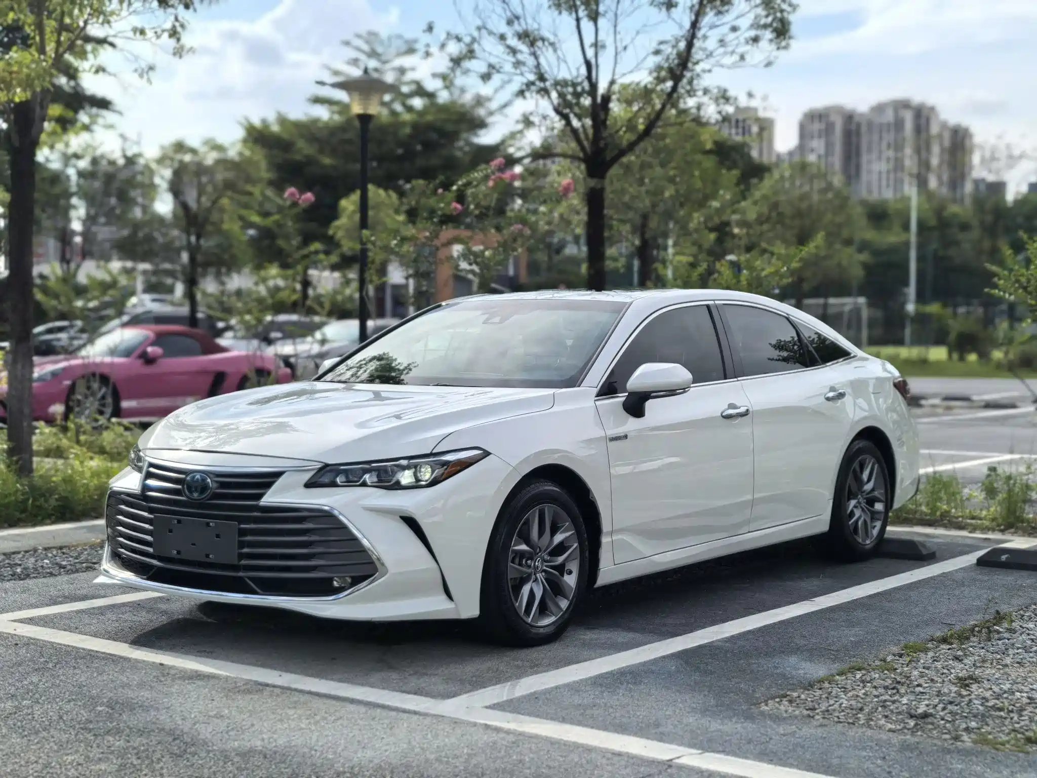 TOYOTA AVALON