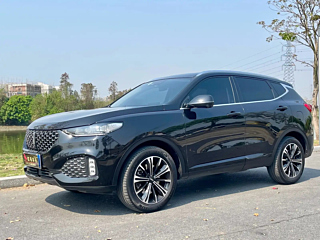 wey vv6