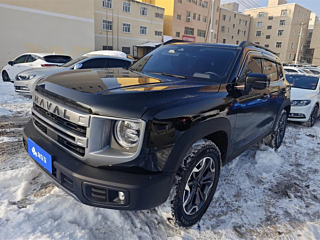 haval dargo