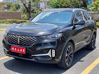 wey vv6