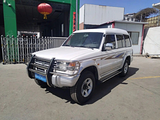 leopaard 6481